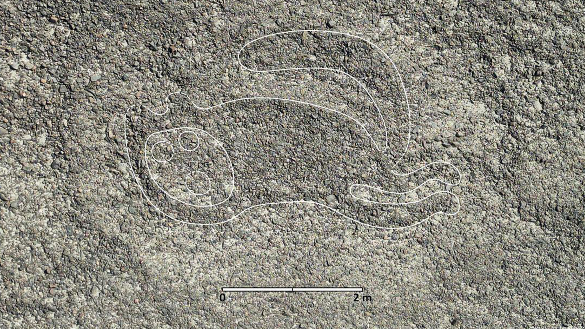Nasca の線と地上絵: Ica のペルー地域で 300 以上の図形が